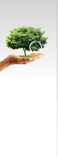 三體網址大全友情鏈接